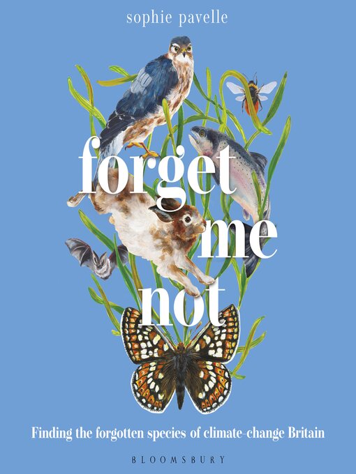 Cover image for Forget Me Not